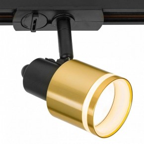 Светильник на штанге Citilux Bruno CL565T14 в Ижевске - izhevsk.ok-mebel.com | фото 4