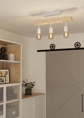 Светильник на штанге Eglo TOWNSHEND 44082 в Ижевске - izhevsk.ok-mebel.com | фото 2