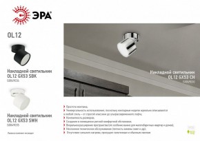 Светильник на штанге Эра OL12 GX53 CH Б0049030 в Ижевске - izhevsk.ok-mebel.com | фото 3