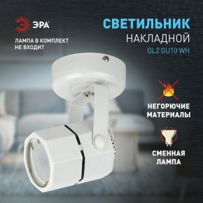 Светильник на штанге Эра OL2 GU10 WH Б0044259 в Ижевске - izhevsk.ok-mebel.com | фото 3