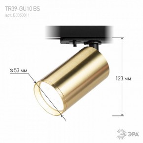 Светильник на штанге Эра  TR39-GU10 BS в Ижевске - izhevsk.ok-mebel.com | фото 6