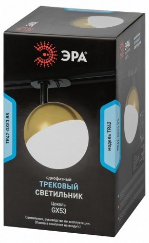 Светильник на штанге Эра  TR42-GX53 BS в Ижевске - izhevsk.ok-mebel.com | фото 6