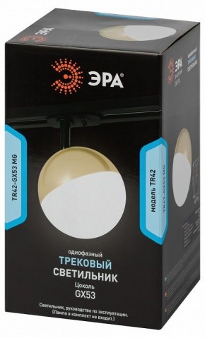 Светильник на штанге Эра  TR42-GX53 MG в Ижевске - izhevsk.ok-mebel.com | фото 6