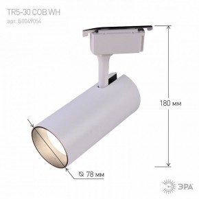 Светильник на штанге Эра  TR5-30 COB WH в Ижевске - izhevsk.ok-mebel.com | фото 6