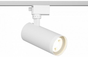 Светильник на штанге Эра  TR59 - 2040 WH в Ижевске - izhevsk.ok-mebel.com | фото