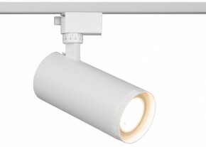 Светильник на штанге Эра  TR59 - 3030 WH в Ижевске - izhevsk.ok-mebel.com | фото
