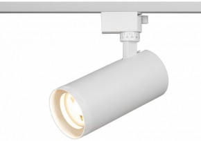 Светильник на штанге Эра  TR59 - 3030 WH в Ижевске - izhevsk.ok-mebel.com | фото 5