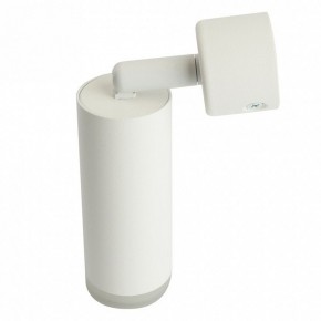 Светильник на штанге Feron ML1021 51390 в Ижевске - izhevsk.ok-mebel.com | фото 3