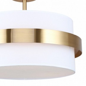 Светильник на штанге Freya Bride FR5367CL-03BS в Ижевске - izhevsk.ok-mebel.com | фото 3