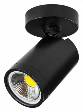 Светильник на штанге Lightstar Rullo 213407 в Ижевске - izhevsk.ok-mebel.com | фото