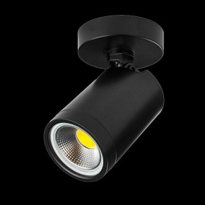 Светильник на штанге Lightstar Rullo 213407 в Ижевске - izhevsk.ok-mebel.com | фото 2