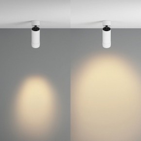 Светильник на штанге Maytoni Focus Zoom C055CL-L12W2.7K-Z-W в Ижевске - izhevsk.ok-mebel.com | фото 3