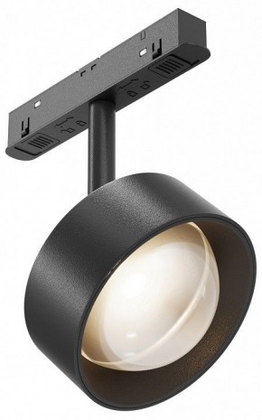 Светильник на штанге Maytoni Lens TR217-2-15W3K-B в Ижевске - izhevsk.ok-mebel.com | фото