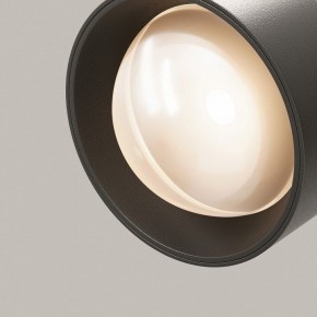 Светильник на штанге Maytoni Lens TR217-2-15W3K-B в Ижевске - izhevsk.ok-mebel.com | фото 12