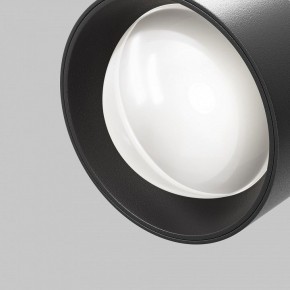 Светильник на штанге Maytoni Lens TR217-4-15WTW-DD-B в Ижевске - izhevsk.ok-mebel.com | фото 12