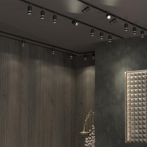 Светильник на штанге Novotech Elina 370777 в Ижевске - izhevsk.ok-mebel.com | фото 4