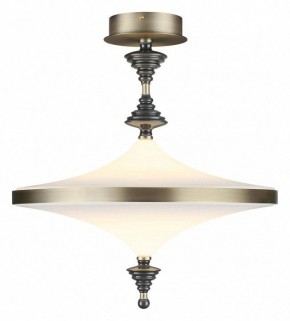 Светильник на штанге Odeon Light Ula 5404/43CL в Ижевске - izhevsk.ok-mebel.com | фото 2