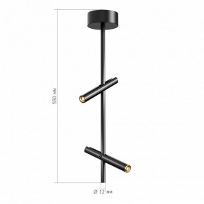 Светильник на штанге ST-Luce LILT SL6210.403.02 в Ижевске - izhevsk.ok-mebel.com | фото 3