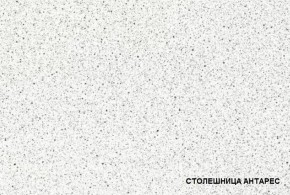ТЕХНО-5 Кухонный гарнитур угловой 3,2*2,24 м в Ижевске - izhevsk.ok-mebel.com | фото 3