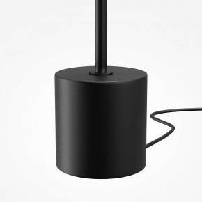 Торшер Maytoni Evolution MOD396FL-L10W3K в Ижевске - izhevsk.ok-mebel.com | фото 6