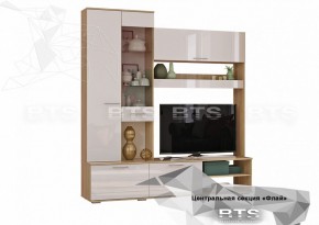 ФЛАЙ Центральная секция ЦС-01 (дуб сонома/белый) в Ижевске - izhevsk.ok-mebel.com | фото 2