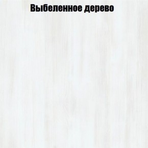 Вешало Лофт V12 в Ижевске - izhevsk.ok-mebel.com | фото 4