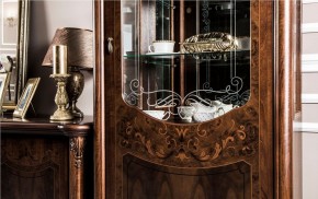 Витрина одностворчатая Илона (караваджо) в Ижевске - izhevsk.ok-mebel.com | фото 5