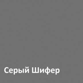 Юнона Шкаф торцевой 13.221 в Ижевске - izhevsk.ok-mebel.com | фото 2